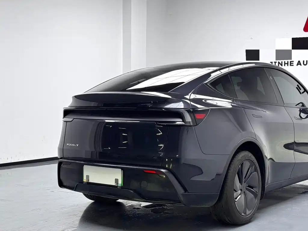 Tesla Model Y — миниатюра 11