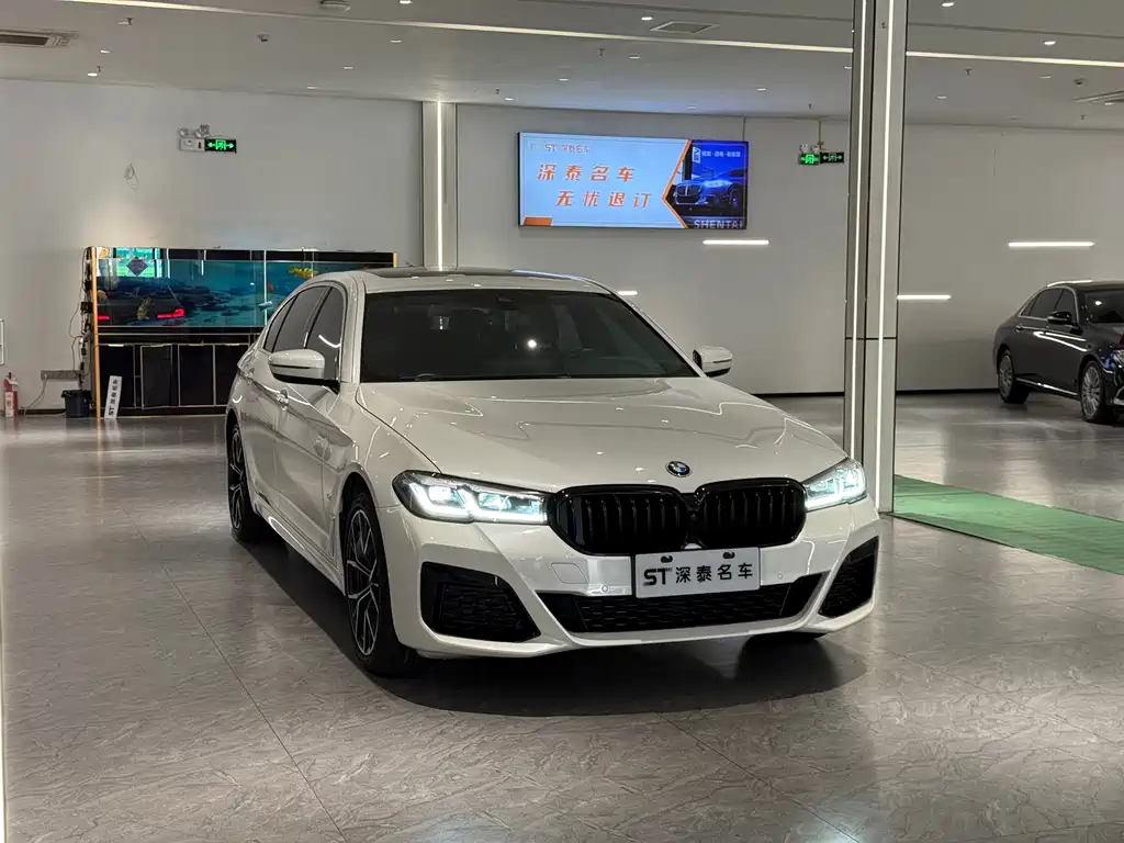 BMW 5 Series — миниатюра 3