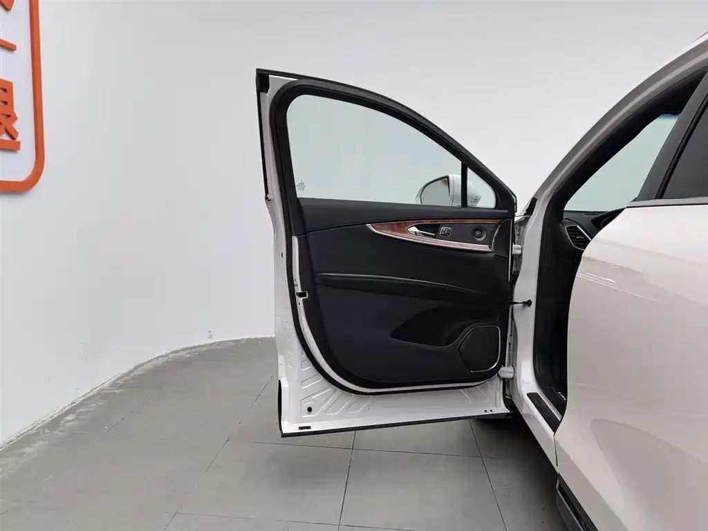 LINCOLN NAVIGATOR (IMPORT)