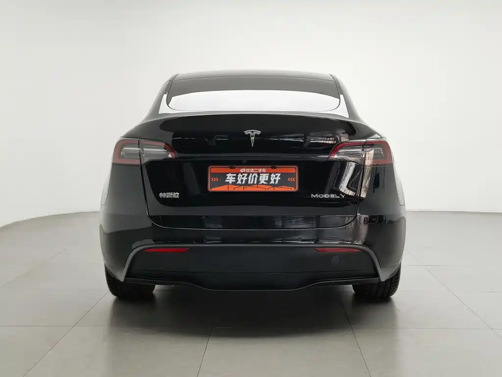 Tesla Model Y — миниатюра 4