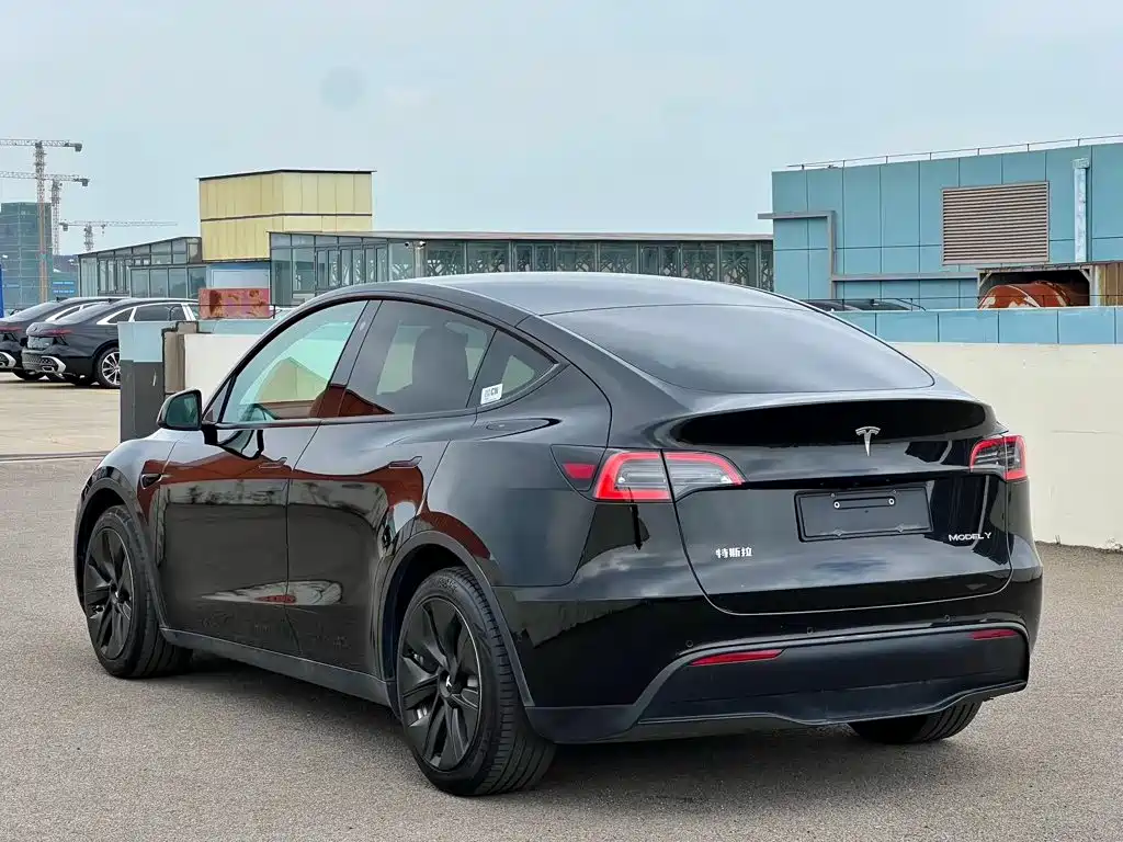 Tesla Model Y — миниатюра 2