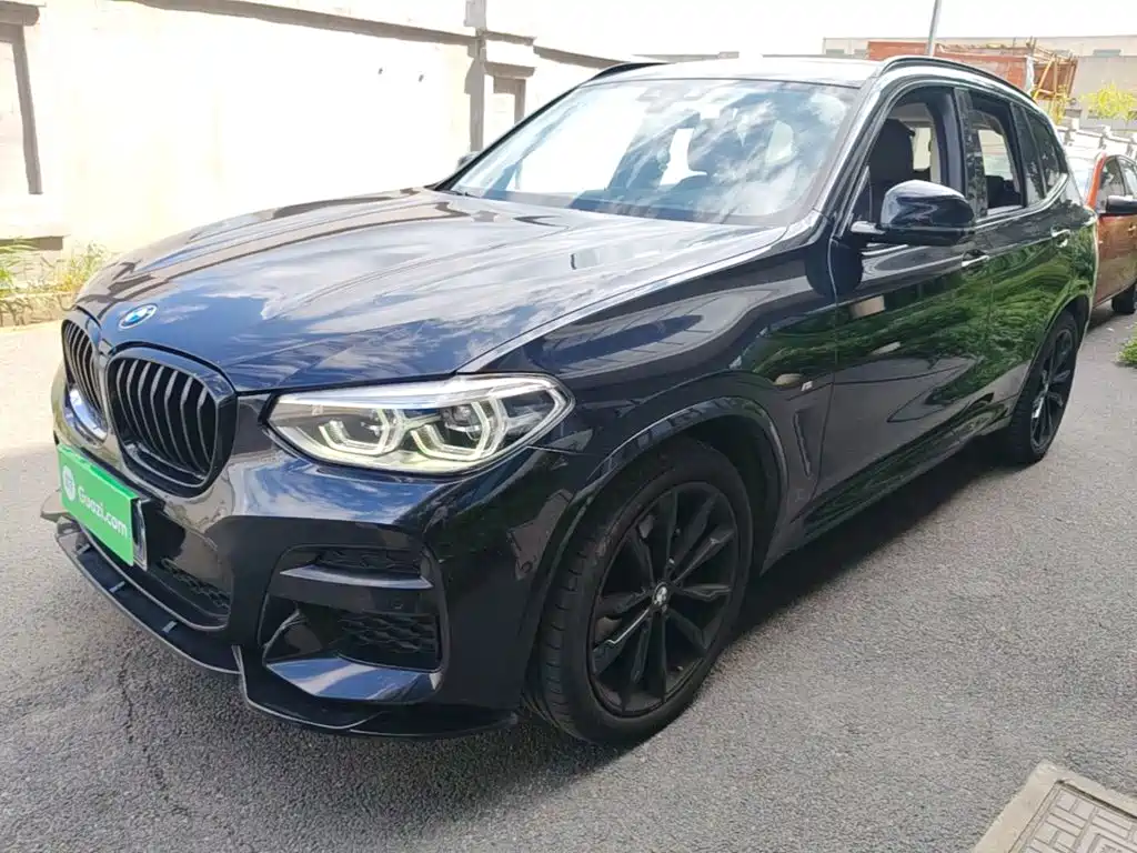BMW X3 — миниатюра 2