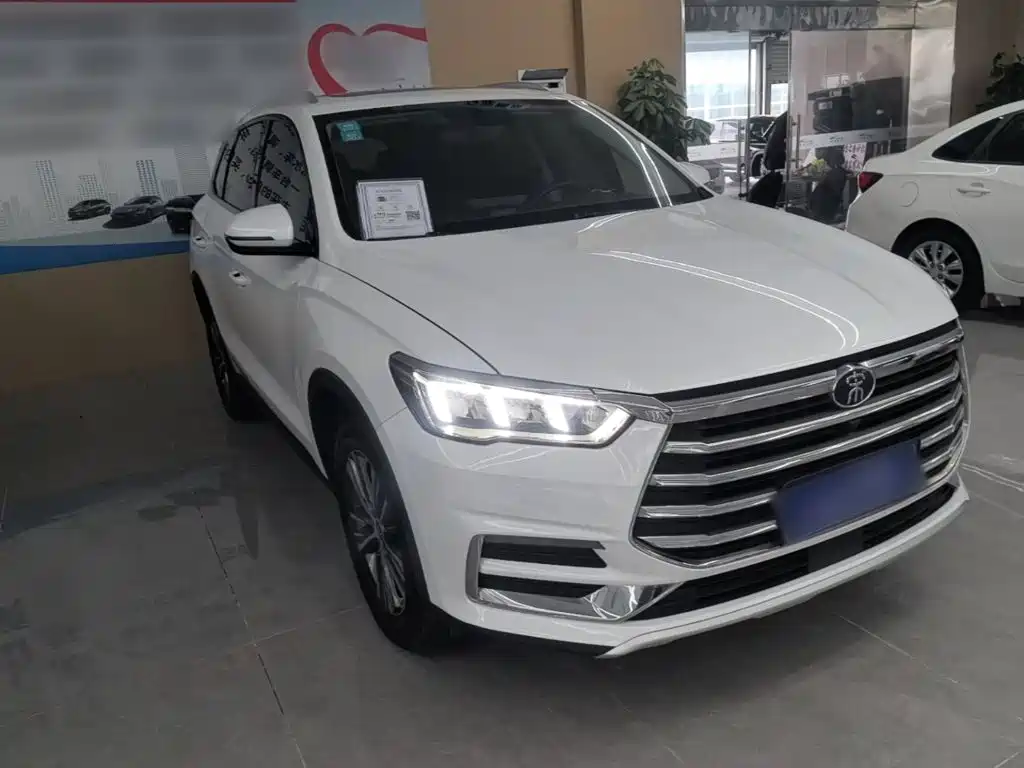 BYD Pro — миниатюра 4