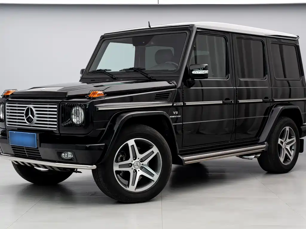 Mercedes-Benz G-Class A MG G AMG 2009 AMG G 55
