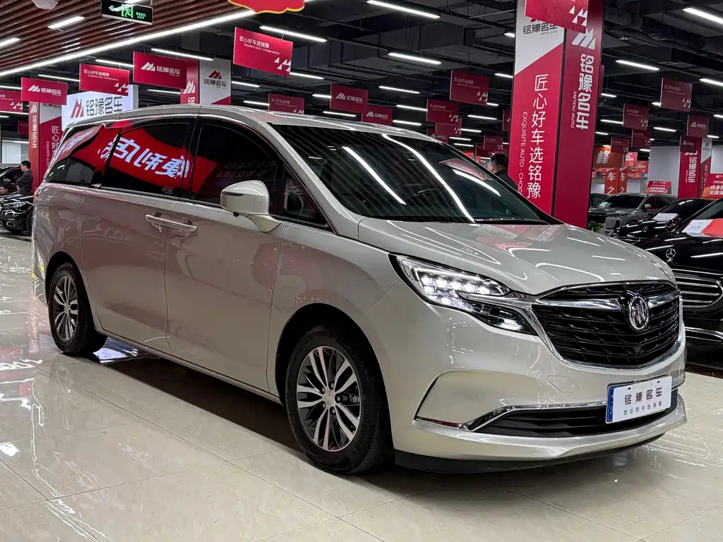 Buick GL8 — миниатюра 3