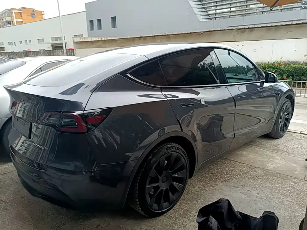 Tesla Model Y — миниатюра 7