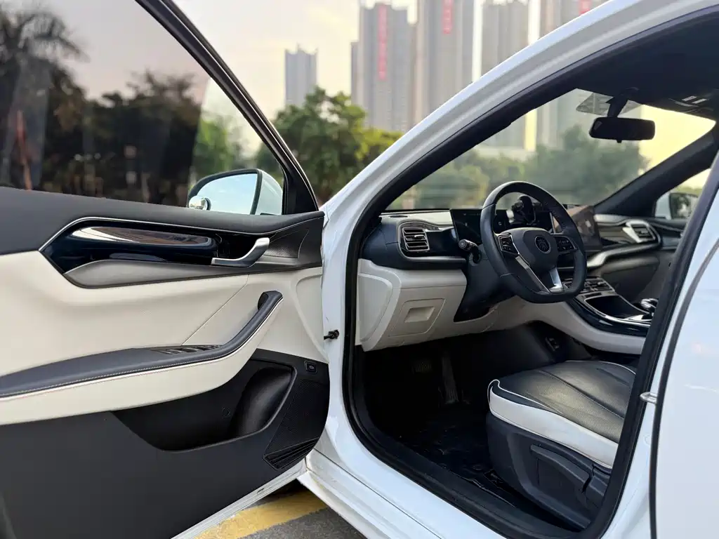 BYD Qin PLUS — миниатюра 10