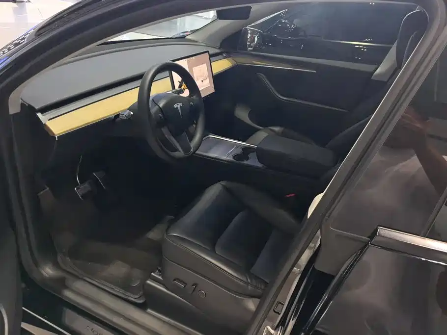 Tesla Model Y — миниатюра 9