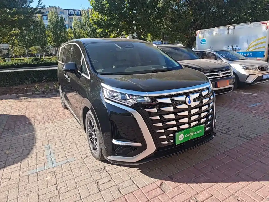 Denza Denza D9 — миниатюра 4