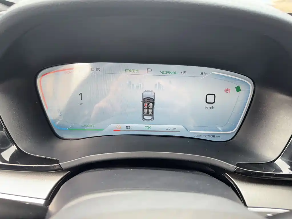 BYD SONGJIANG NEW ENERGY