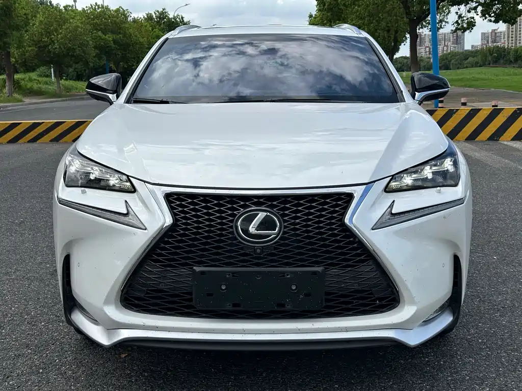 Lexus NX — миниатюра 2