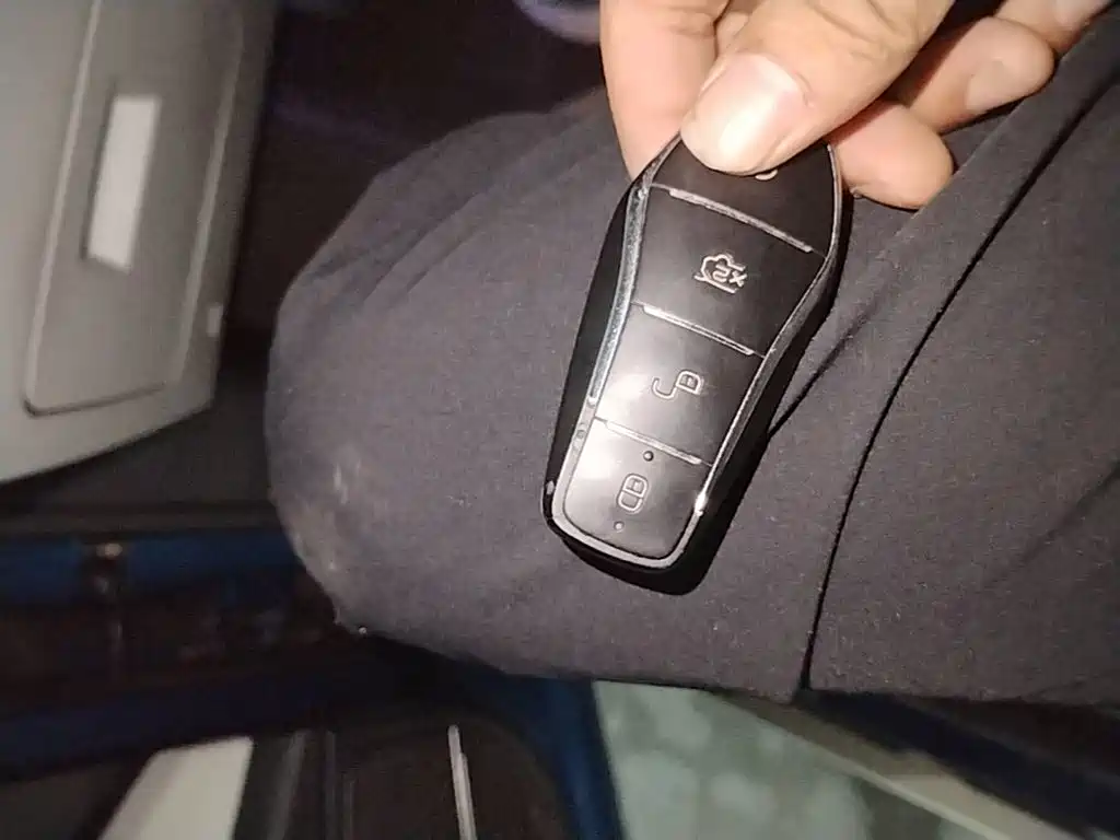 BYD Tang New Energy — миниатюра 9