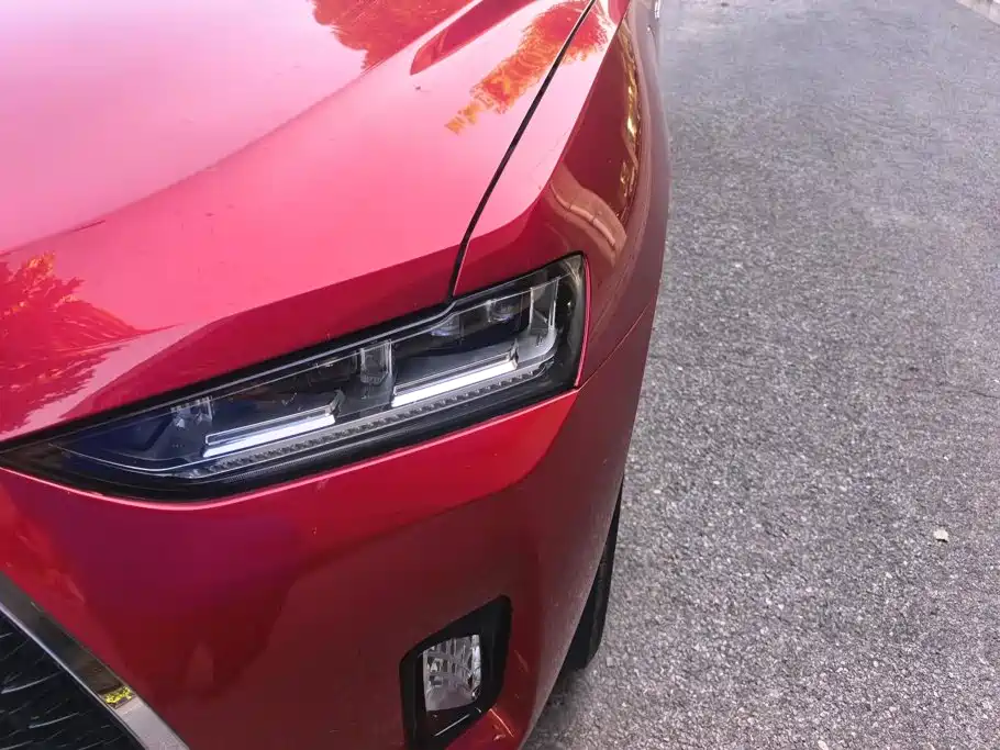 Wey Wey P8 — миниатюра 5