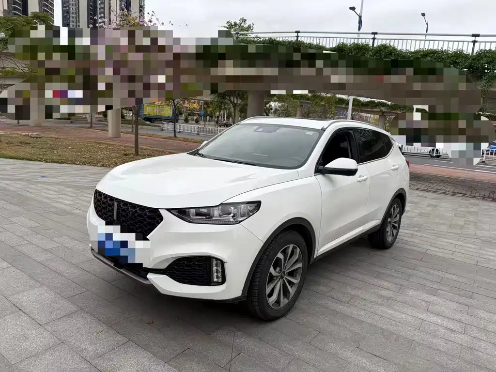 Wey Wey VV6 2018