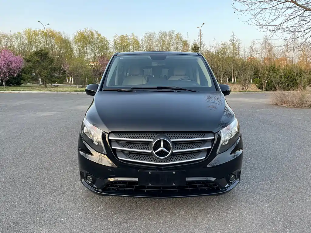 Купить Mercedes-Benz Vito