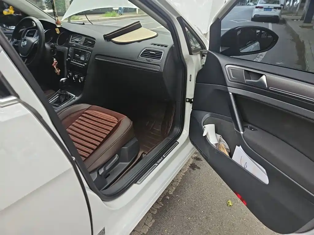 Volkswagen Golf — миниатюра 19