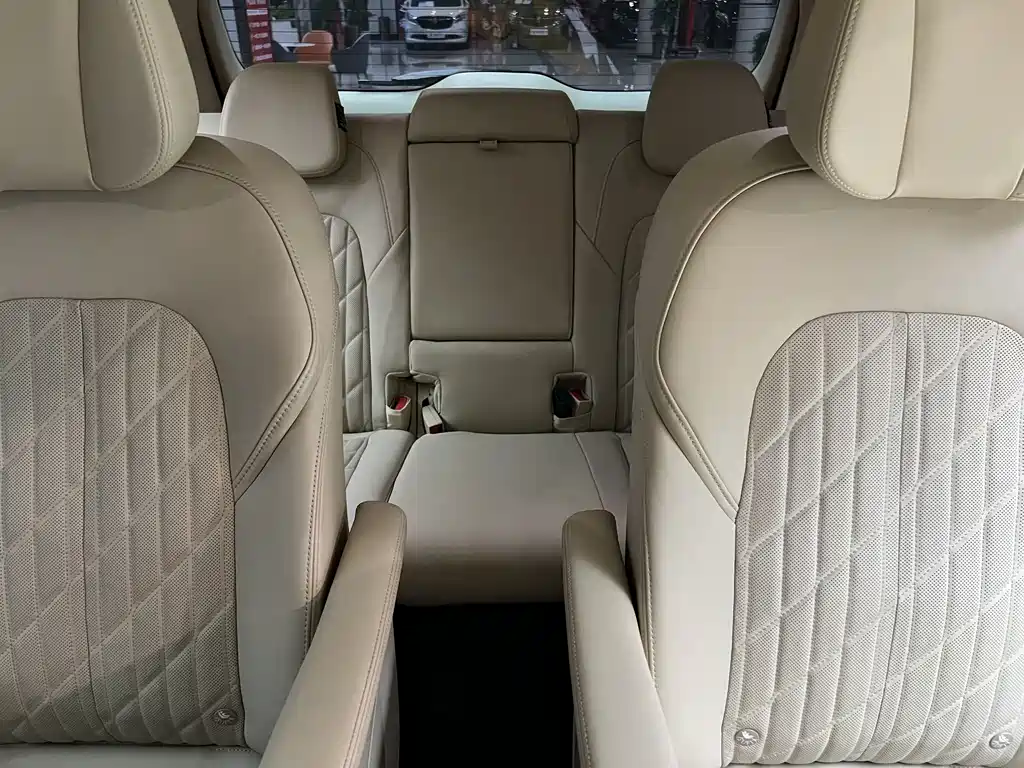 Buick GL8 — миниатюра 17