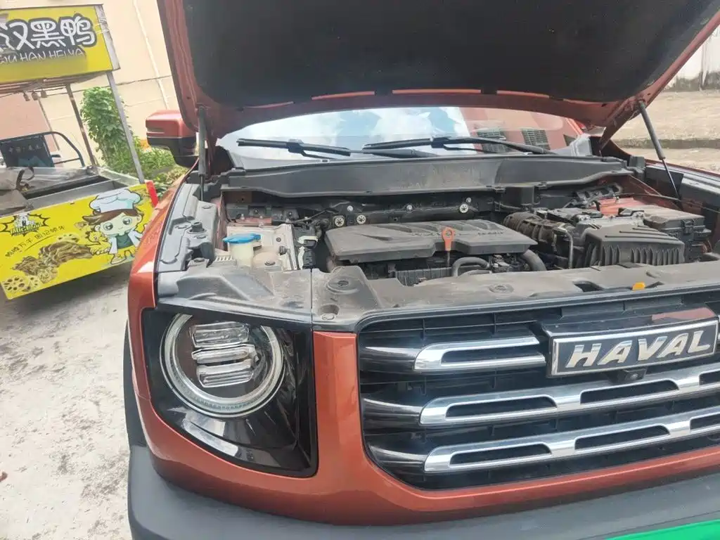 Haval Big Dog — миниатюра 20