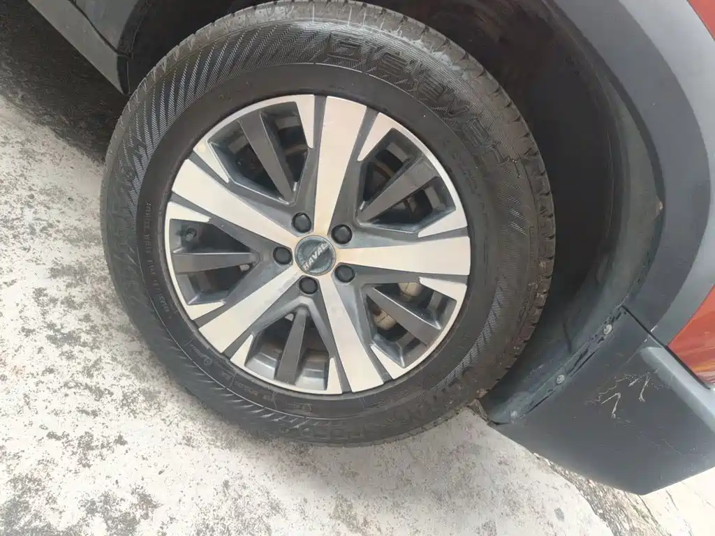 Haval Big Dog — миниатюра 24