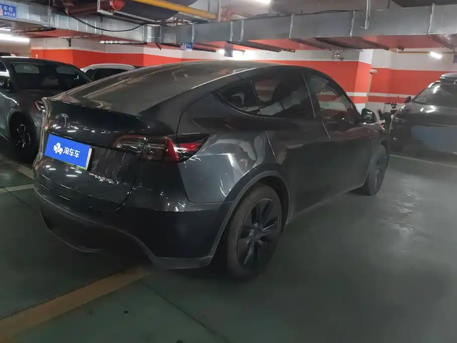 Tesla Model Y — миниатюра 3