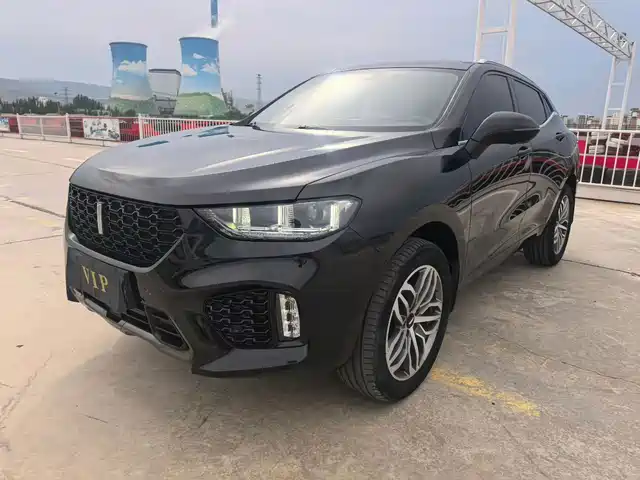 2019 Wey VV5