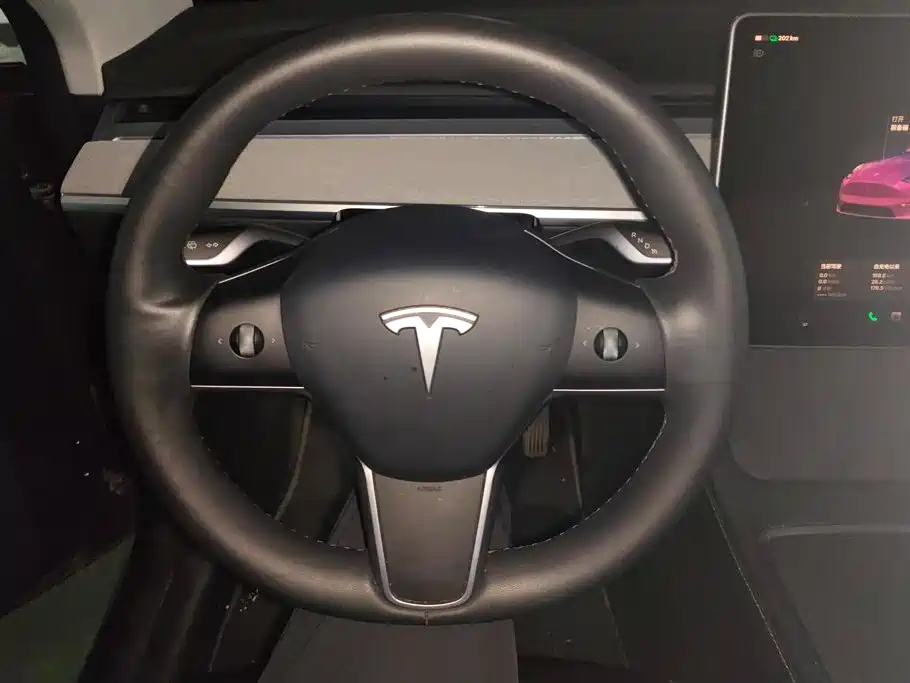 Tesla Model Y — миниатюра 15