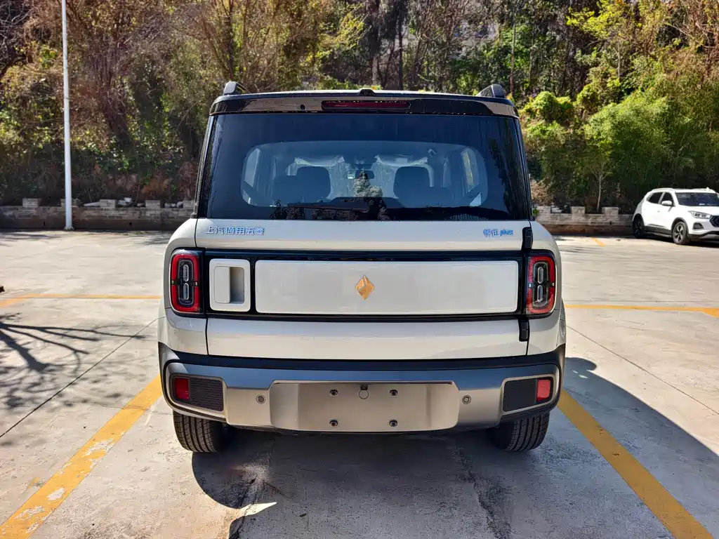 BAOJUN YUE ALSO PLUS