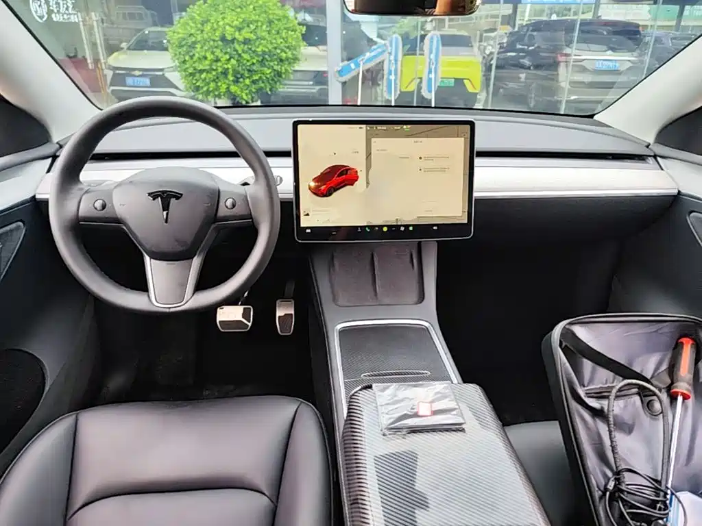 Tesla Model Y — миниатюра 10