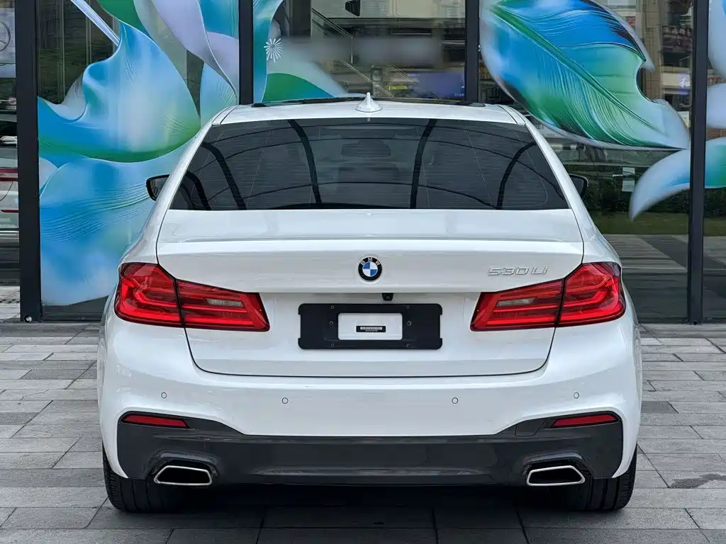 BMW 5 Series — миниатюра 11