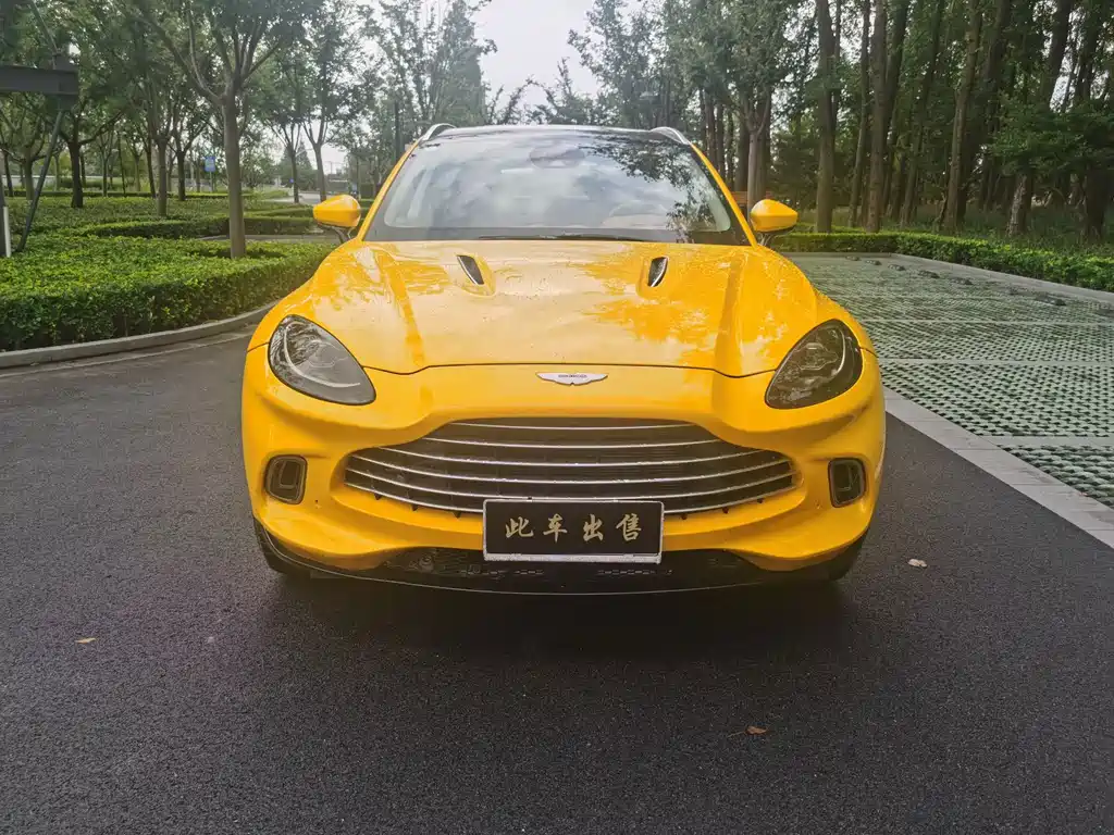 Aston Martin DBX — миниатюра 2