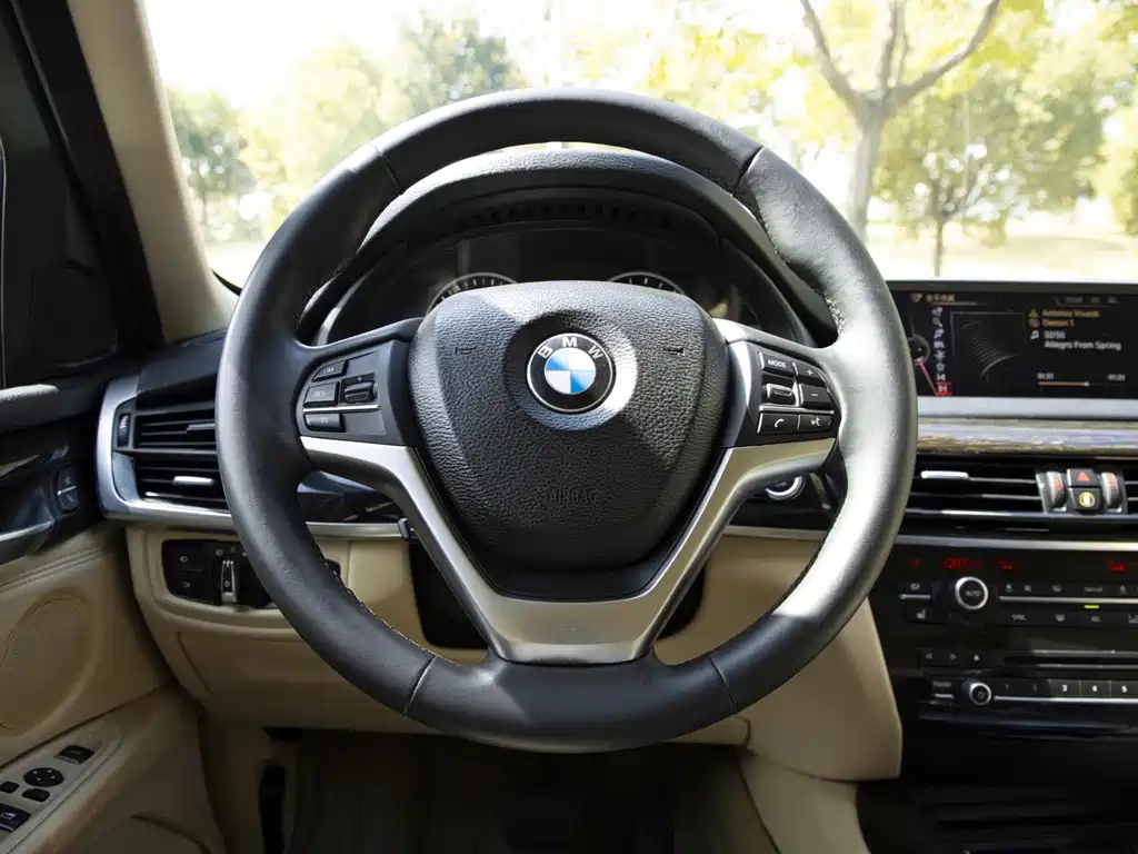 BMW X5 (Import) — миниатюра 21