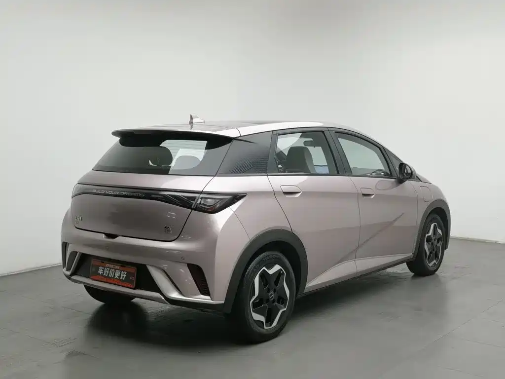 BYD Dolphin — миниатюра 2
