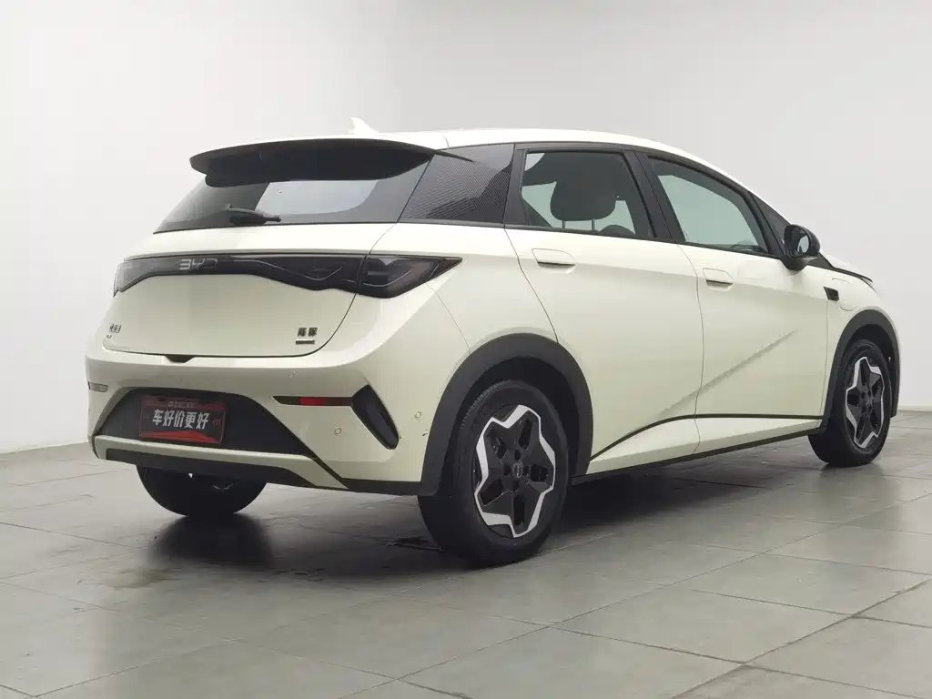 BYD Dolphin — миниатюра 2