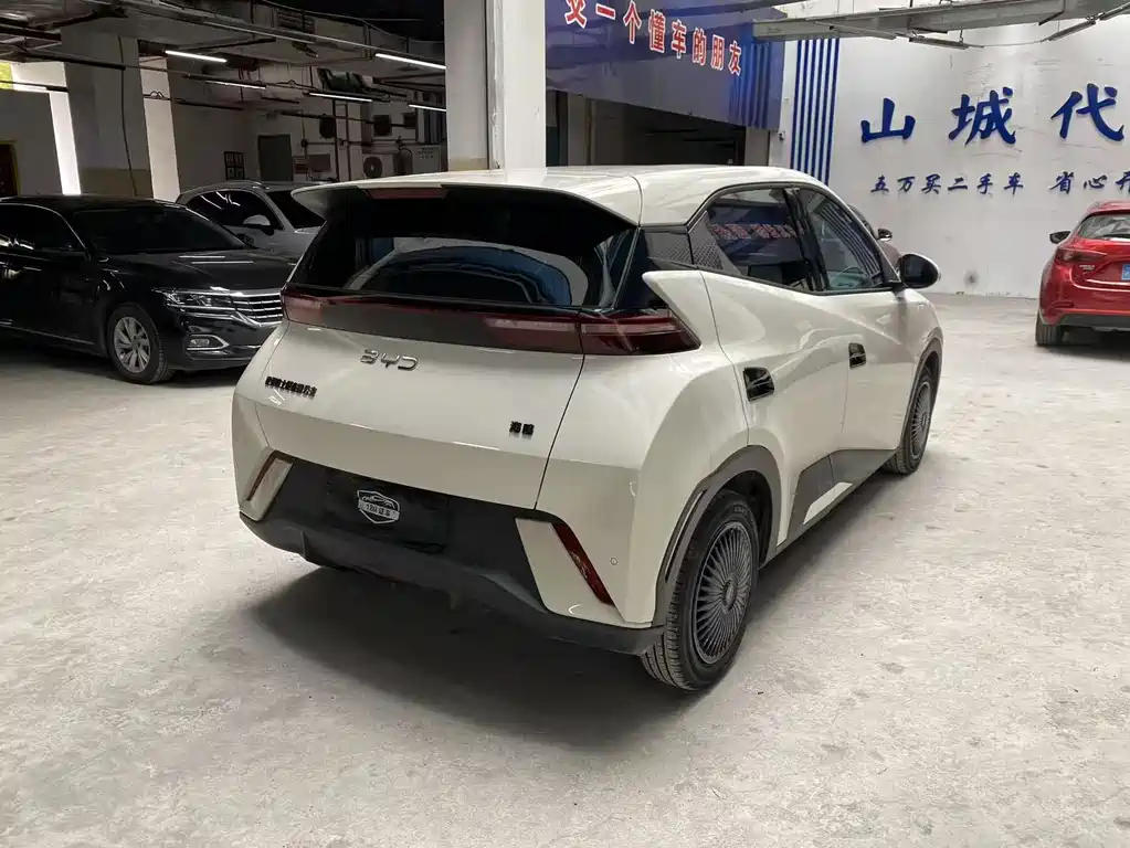 BYD SEAGULL