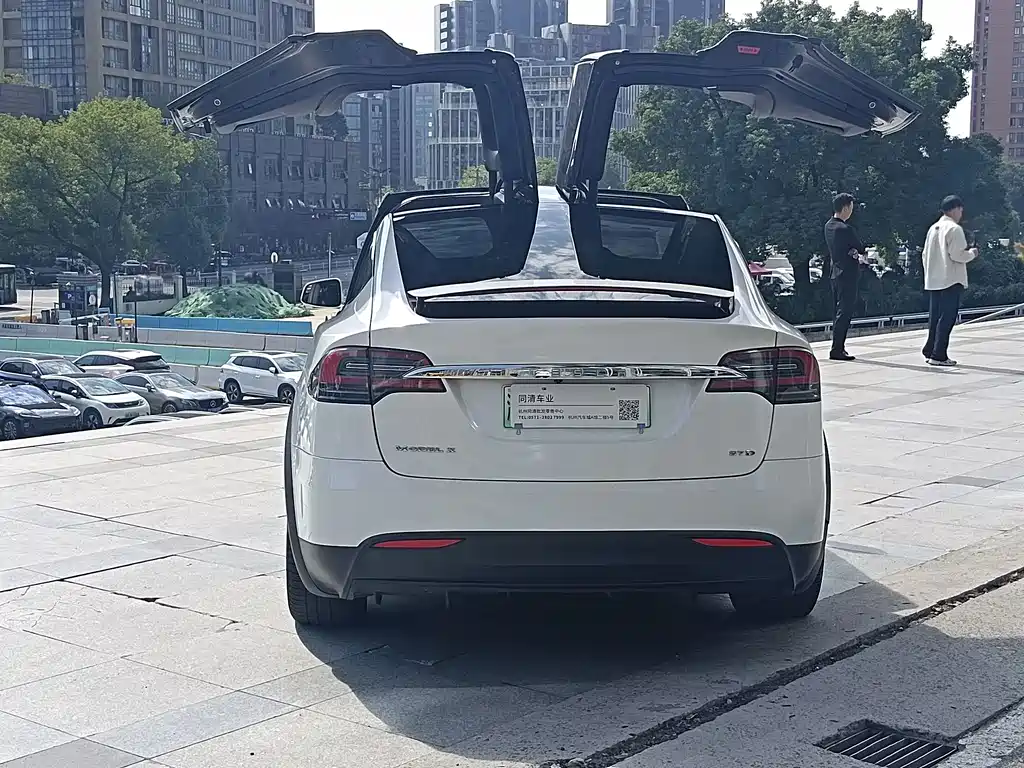 Tesla Model X — миниатюра 7