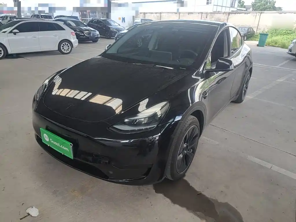 Tesla Model Y — миниатюра 2