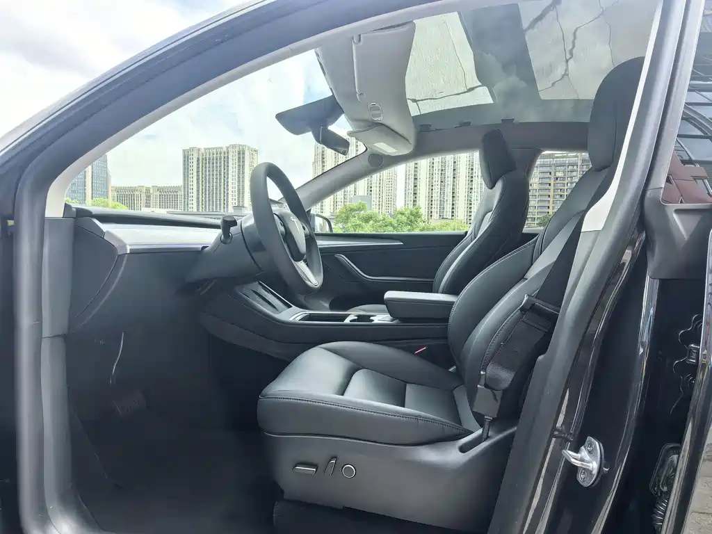 Tesla Model Y — миниатюра 5