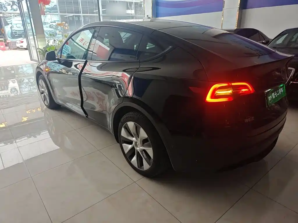 Tesla Model Y — миниатюра 5