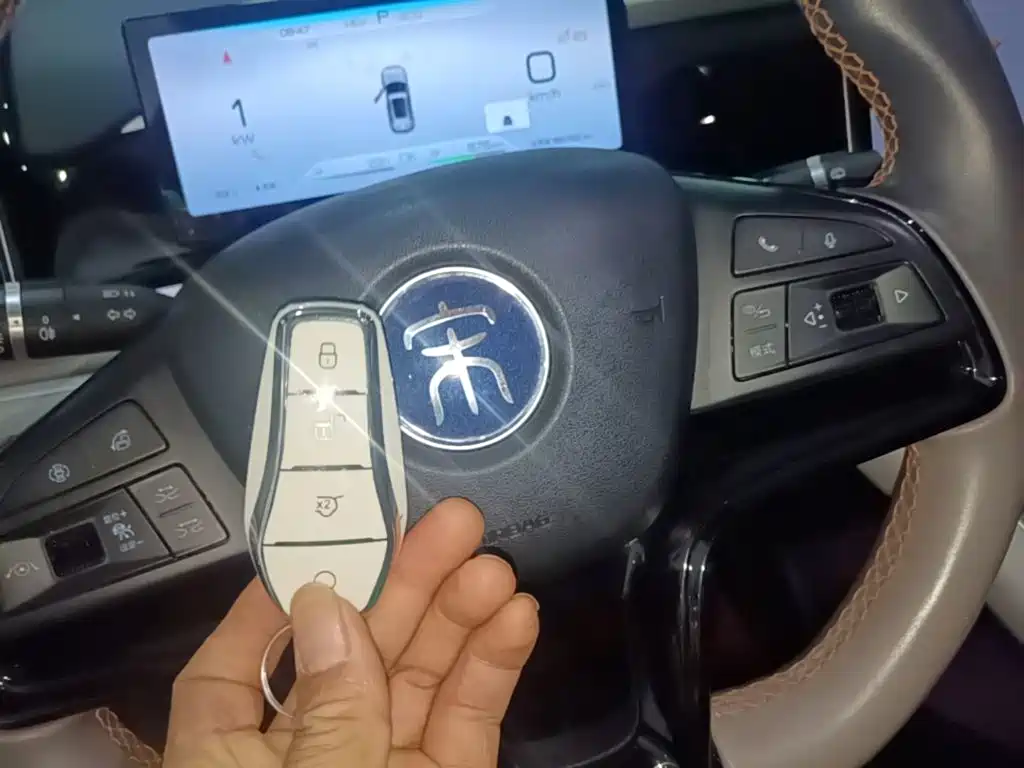 BYD Pro New Energy — миниатюра 9