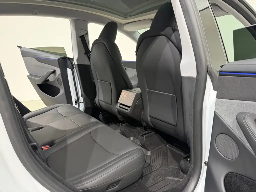 Tesla Model Y — миниатюра 13