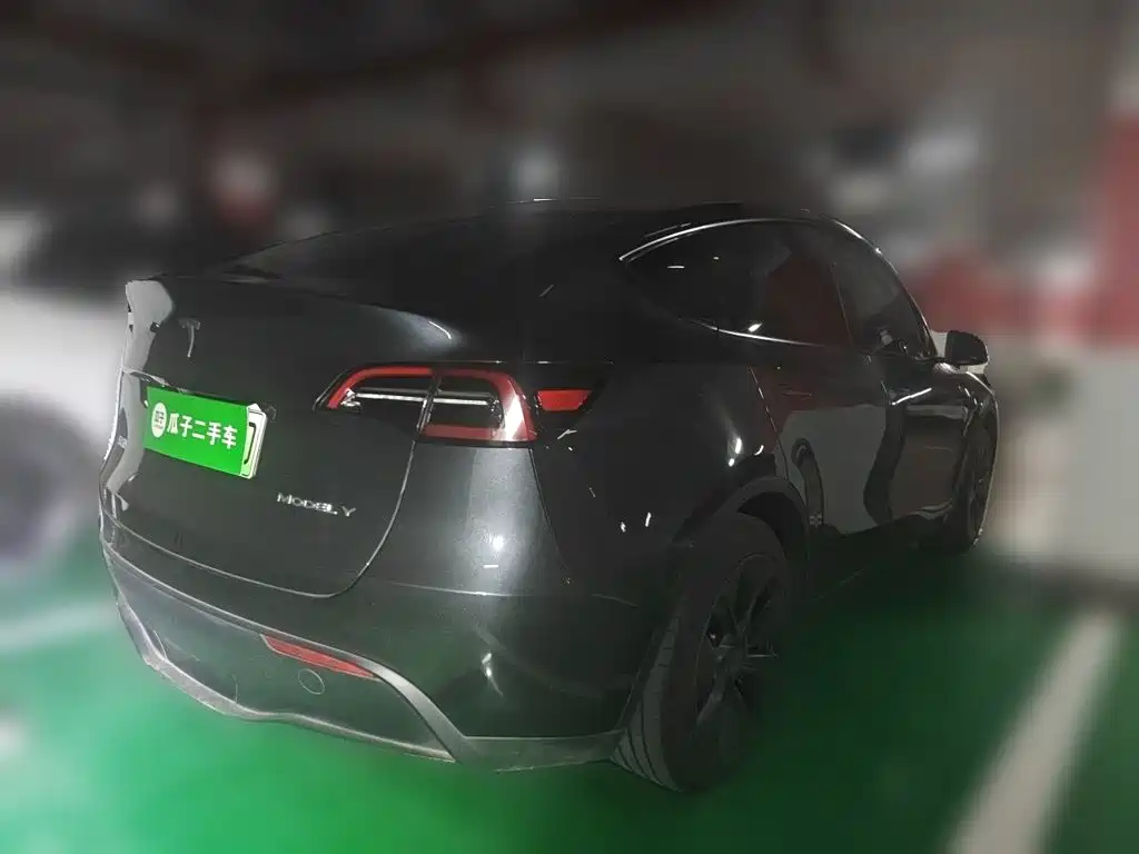 Tesla Model Y — миниатюра 4