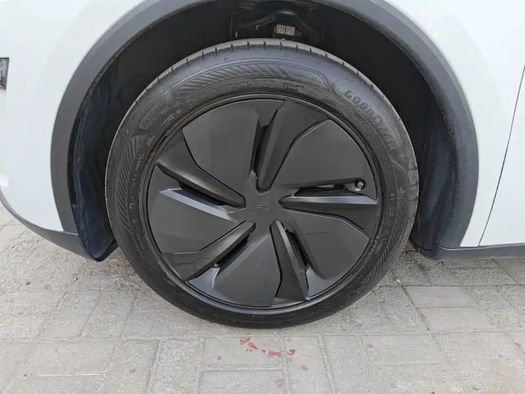 Tesla Model Y — миниатюра 25