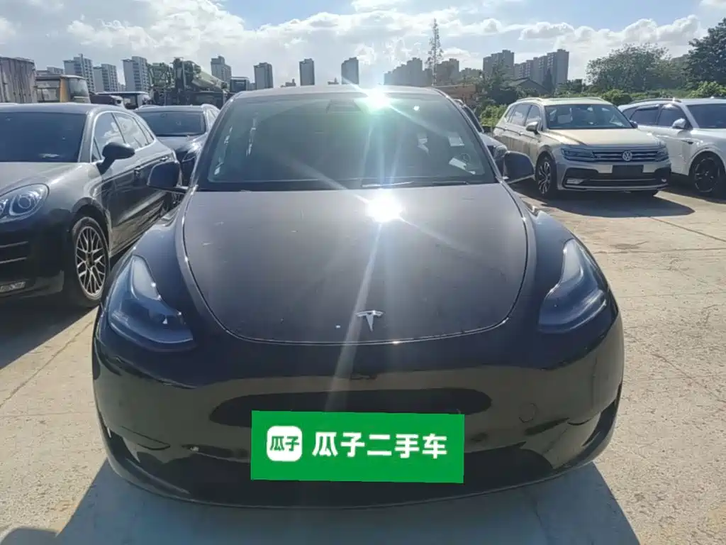 Tesla Model Y — миниатюра 3
