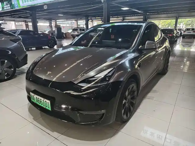 TESLA MODEL Y 2021