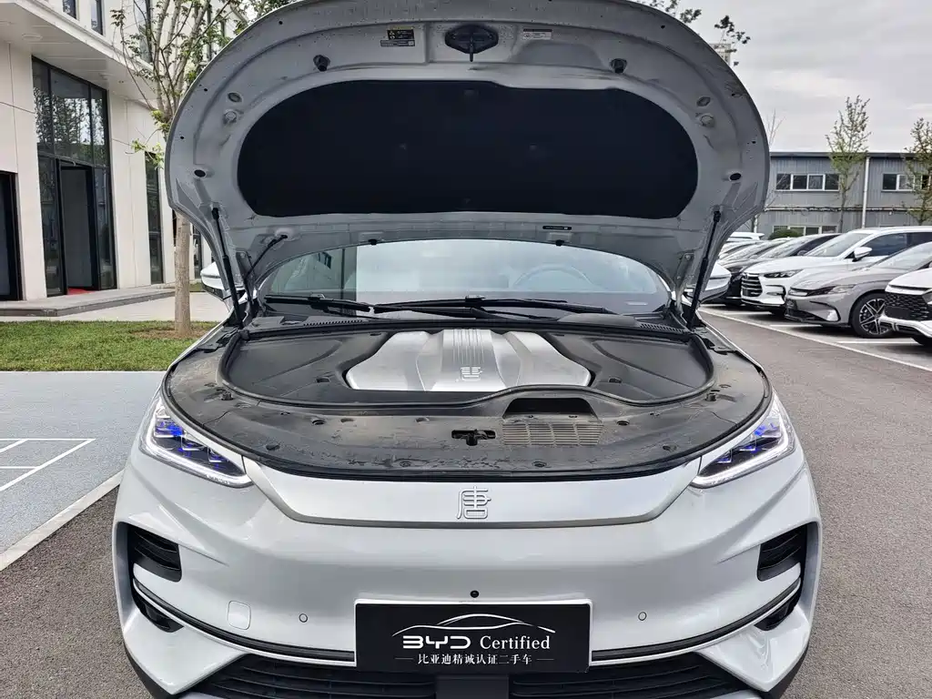 BYD Tang New Energy — миниатюра 2