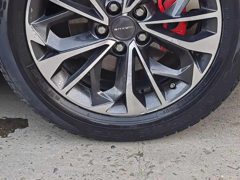 SAIC MAXUS CHASE D60