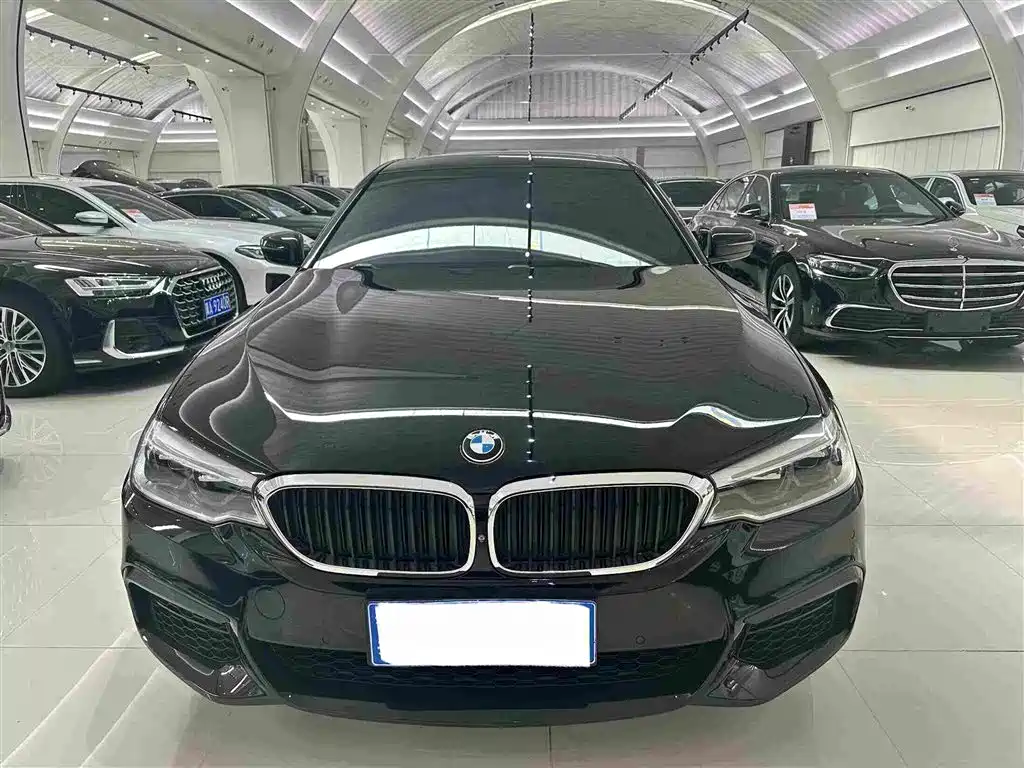 BMW 5 Series 5 2020 530Li Premium M Sport