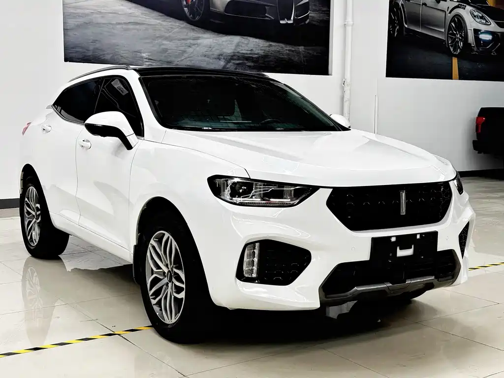 WEI PAI WEI BRAND VV5