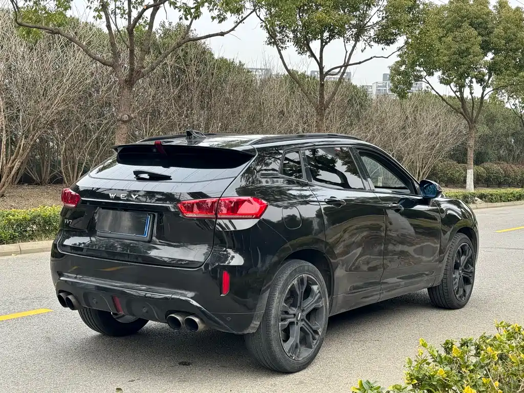 WEI PAI WEI BRAND VV7