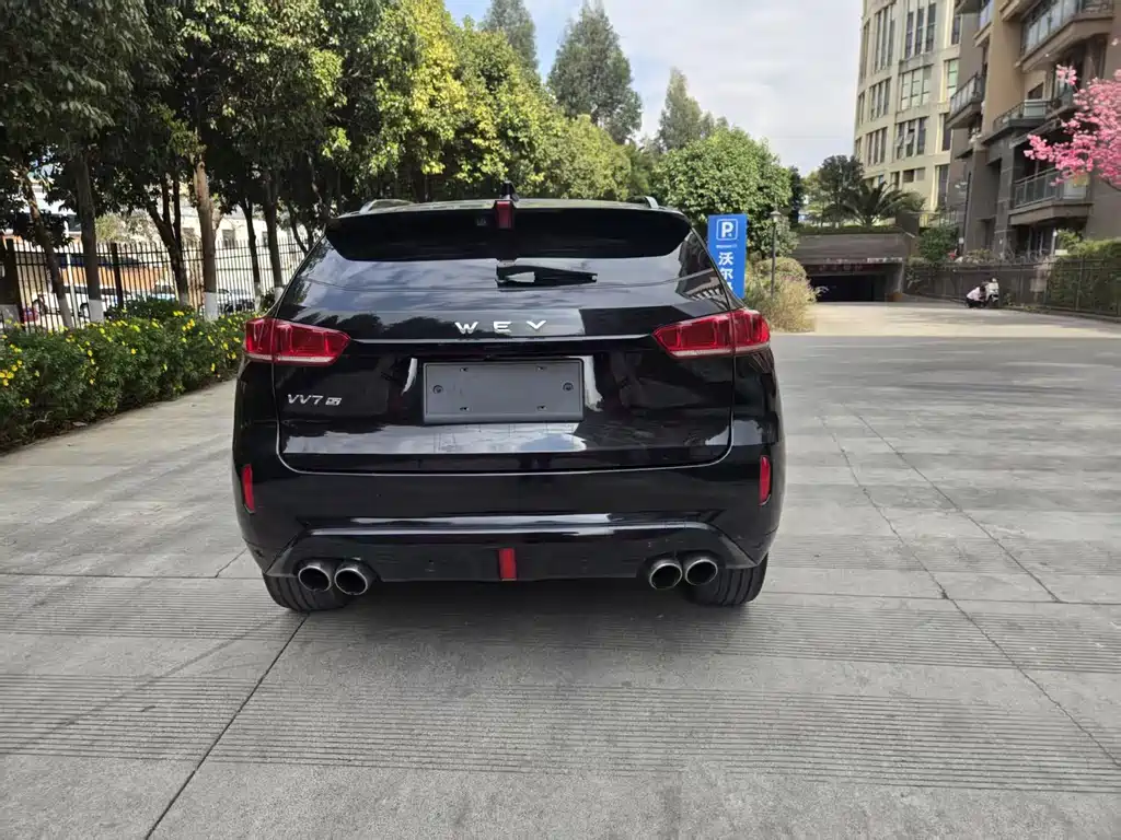 WEI PAI WEI BRAND VV7